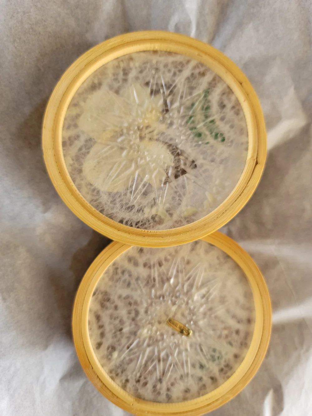 Set Of 2-Vintage Round Butterfly Coasters or Wall Art  Barconic Retro